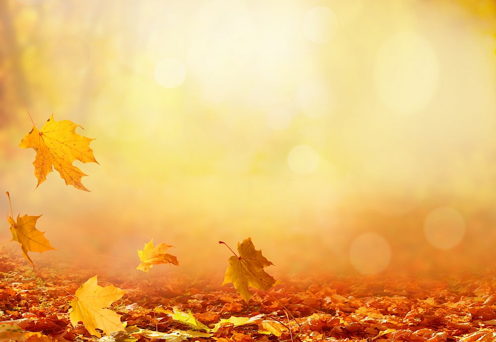 Herbstferien 5.–11. Oktober 26